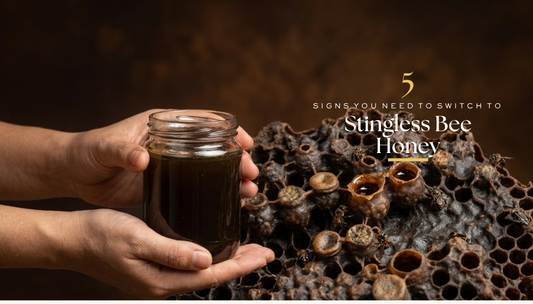5 Signs You Need to Switch to bbn Stingless Bee Honey