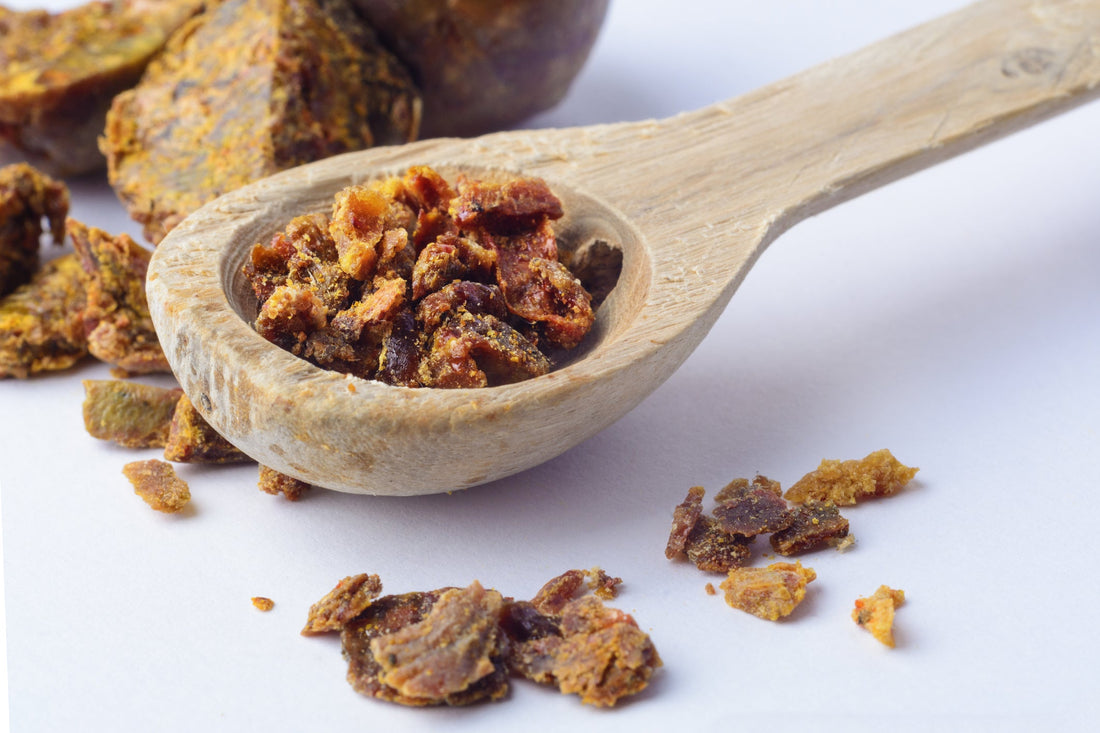 Propolis: What It Is, What It Does, and Why It Matters?